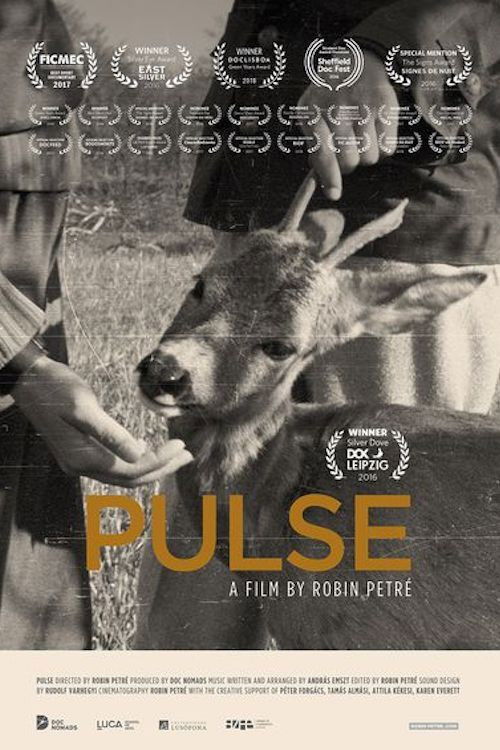 Pulse (2016) poster