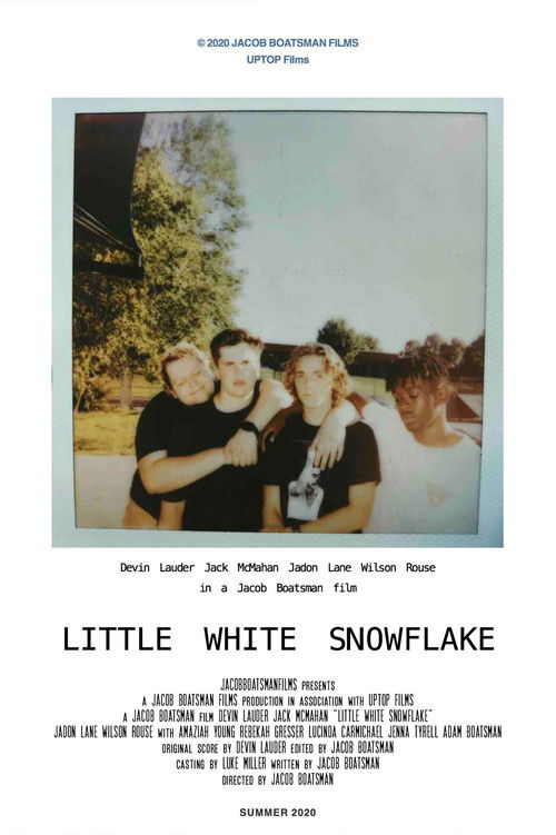 Little White Snowflake (2020) poster