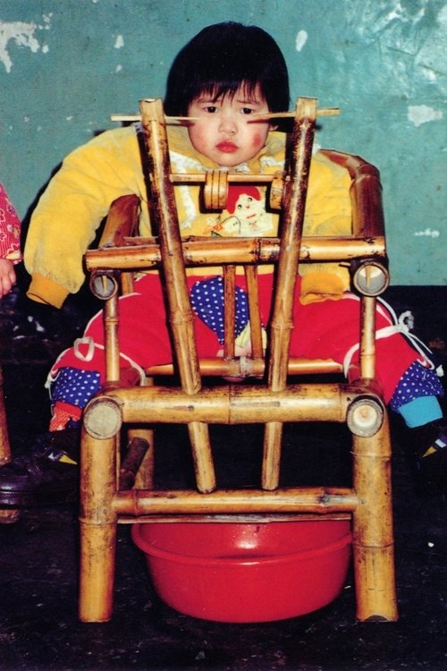 The Dying Rooms (1995) poster