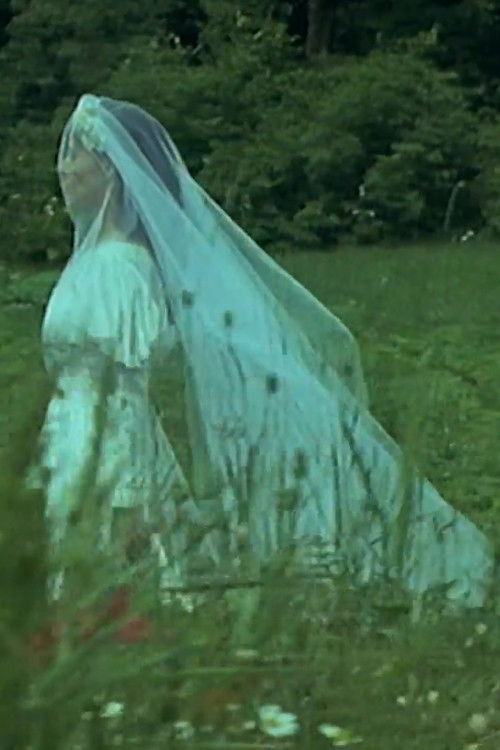 Black Orchid (1989) poster