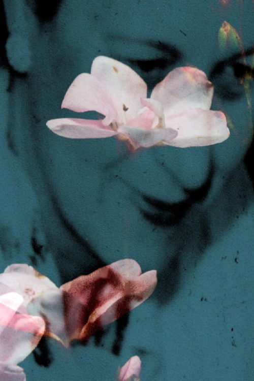 Flowers of the Sky (2016) poster