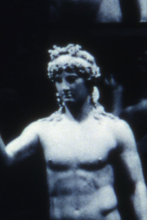 Introduction to the Secret Society (1991) poster