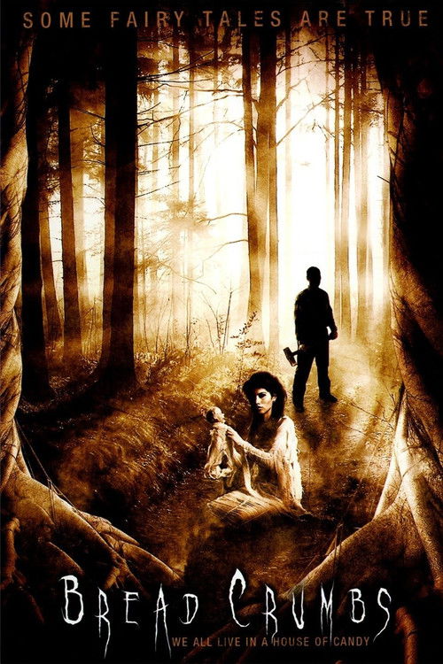 BreadCrumbs (2011) poster