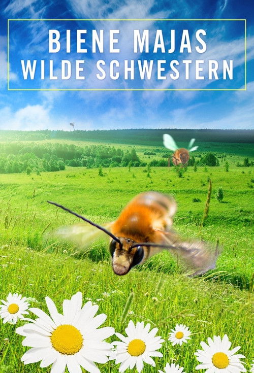 Biene Majas wilde Schwestern (2017) poster