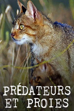Prédateurs et proies - La faune de la péninsule Ibérique (2022) poster
