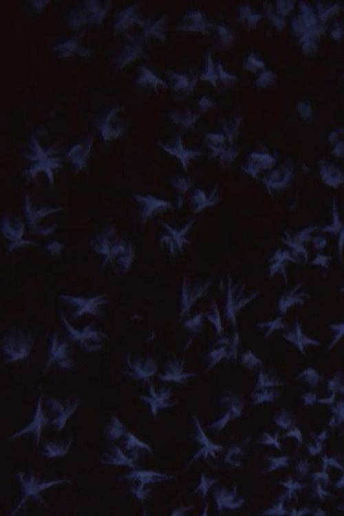 Albedo 0.97 (1977) poster