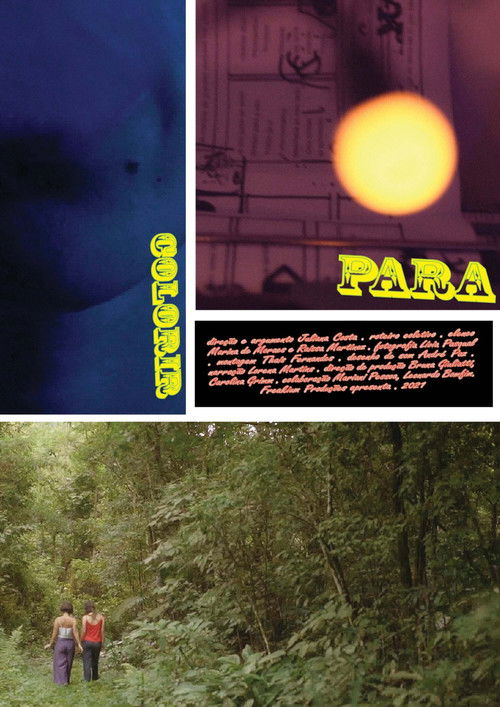 Para Colorir (2021) poster