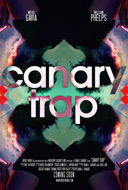 Canary Trap poster