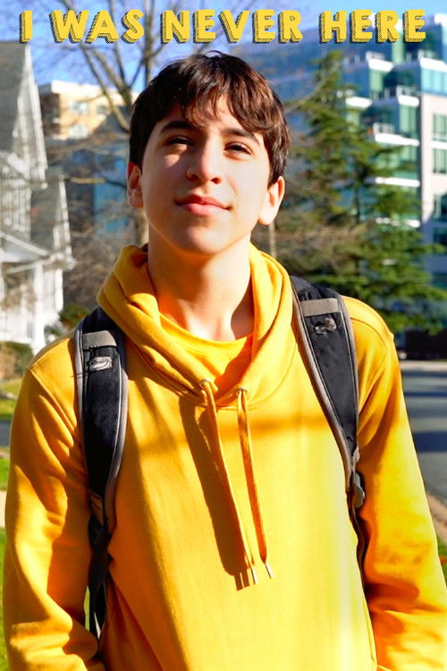 I Was Never Here (2020) poster