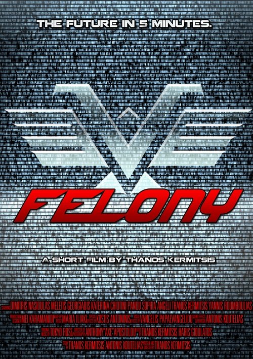 Felony (2014) poster