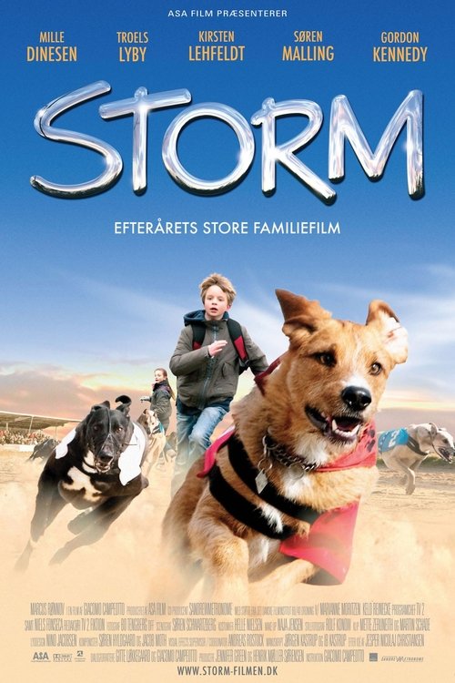 Storm (2009) poster