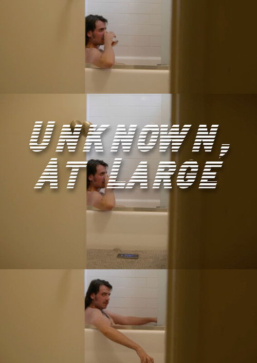 Unknown, At Large (2025) poster
