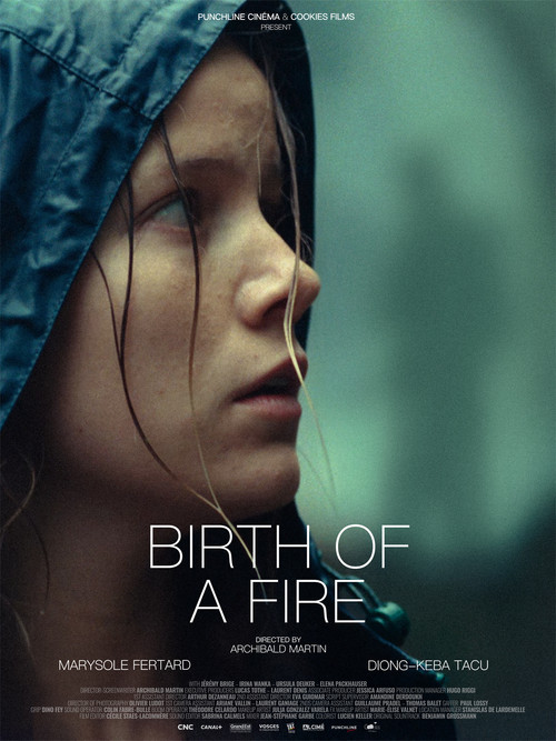 Birth of a Fire (2025) poster
