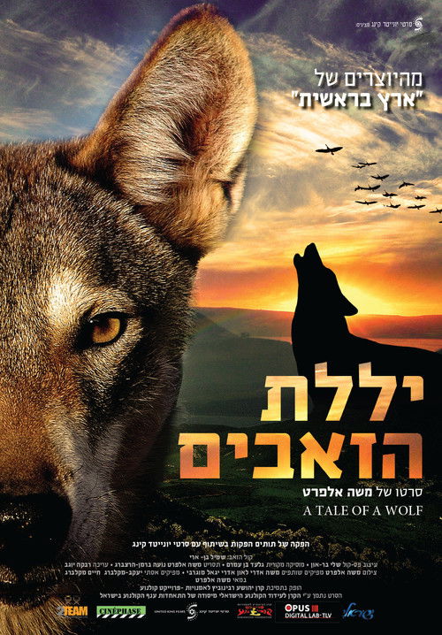 A Tale of a Wolf (2013) poster