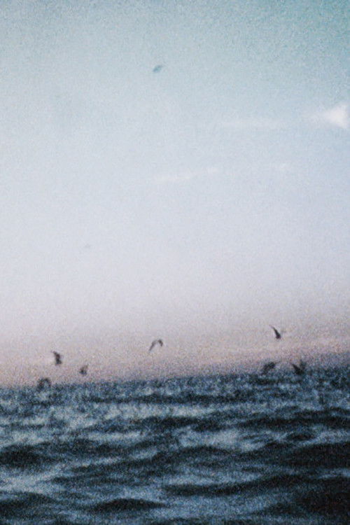 Ocean III (2018) poster