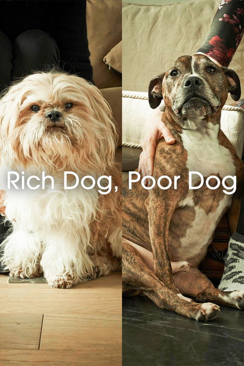 Rich Dog, Poor Dog (2017) poster