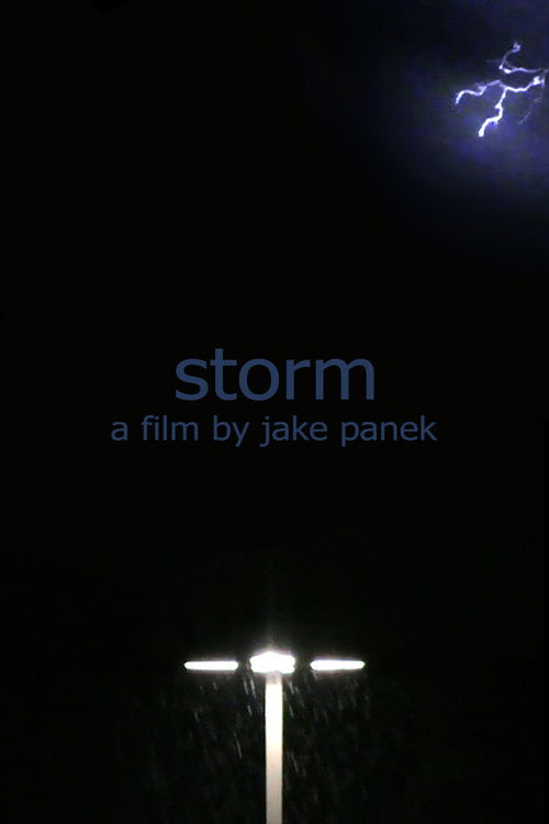 storm (2024) poster