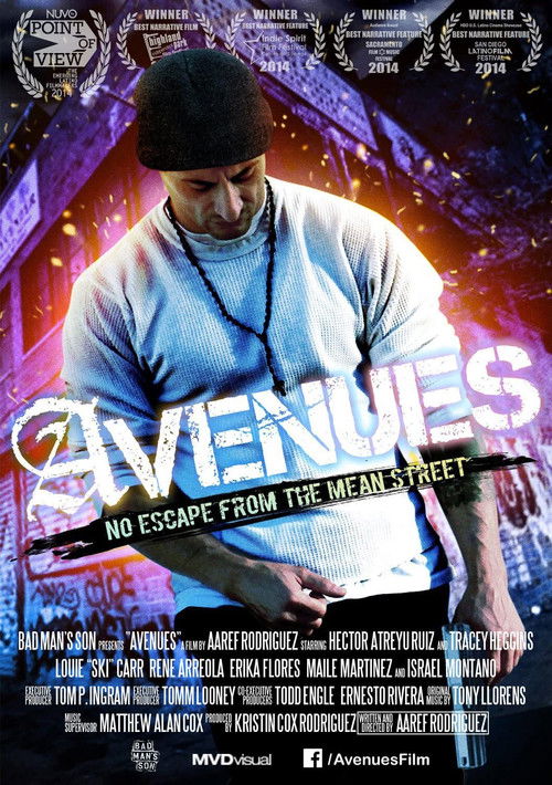 Avenues (2013) poster