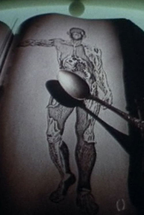 Chemical Transport Through The Cell Membrane (1987) poster