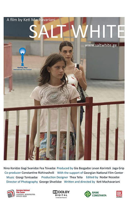მარილივით თეთრი (2011) poster