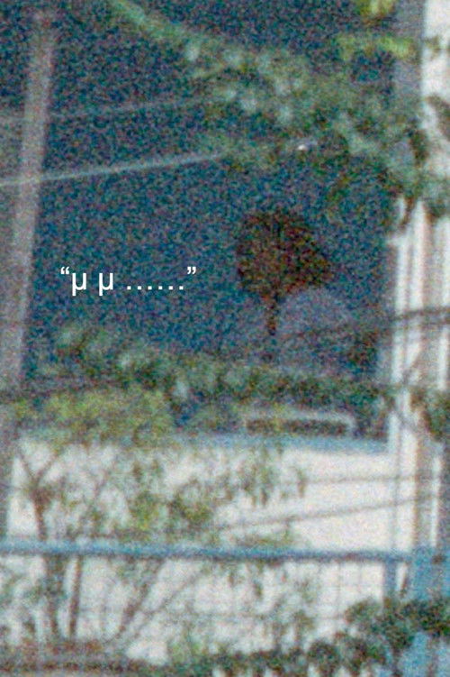 How to be a ghost in Bangkok? (2025) poster