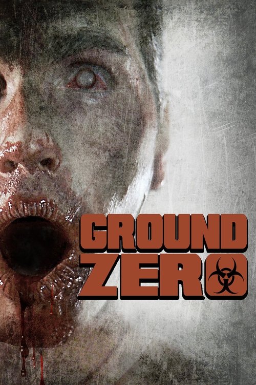 Ground Zero (2010) poster