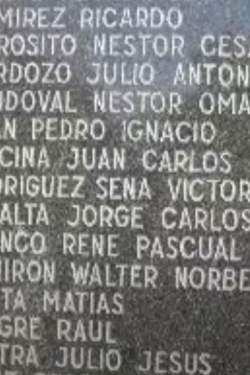 It's another Malvinas story (2013) poster