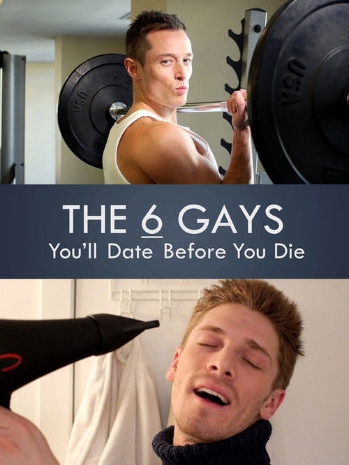 The 6 Gays You’ll Date Before You Die (2014) poster
