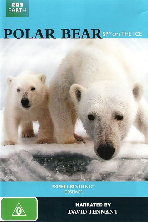 Polar Bear: Spy on the Ice (2011) poster