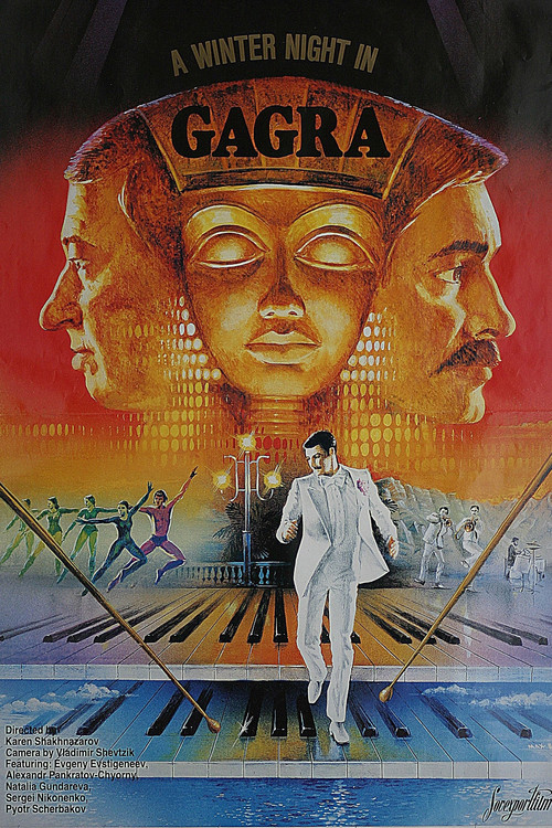 Зимний вечер в Гаграх (1985) poster