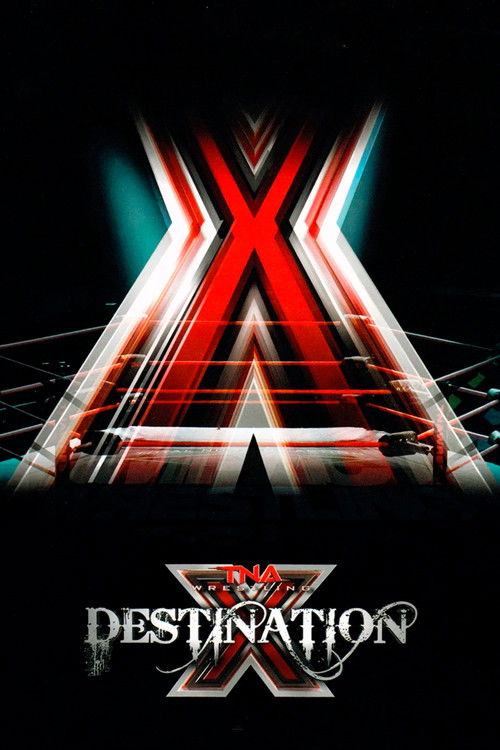 TNA Destination X 2011 (2011) poster