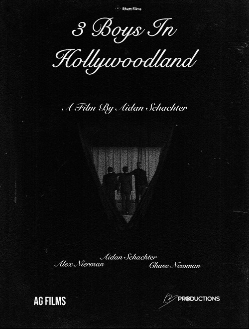 3 Boys In Hollywoodland (2024) poster