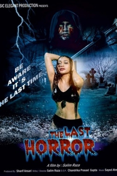 The Last Horror (2015) poster