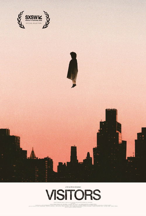 Visitors (2026) poster