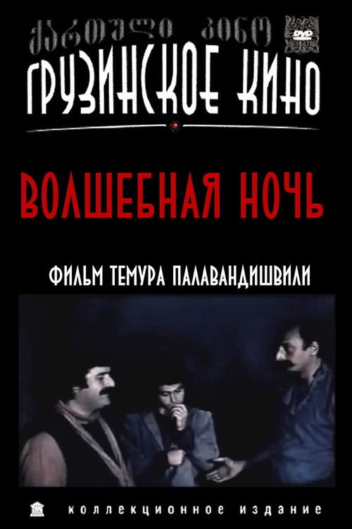 Magic Night (1983) poster