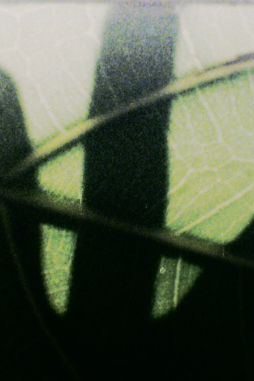 Neon Cortex (2020) poster