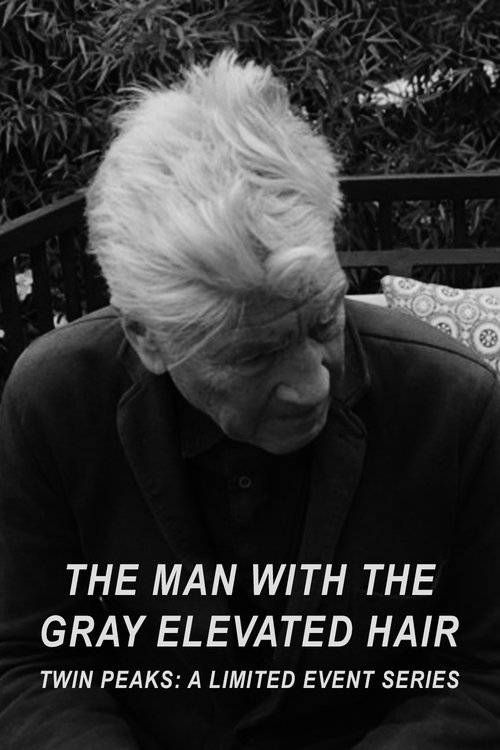 The Man with the Gray Elevated Hair (2017) poster
