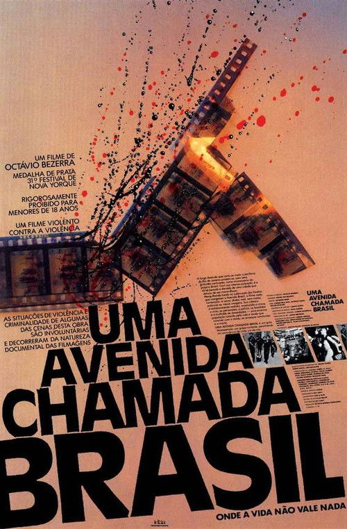 An Avenue Called Brazil (1989) poster