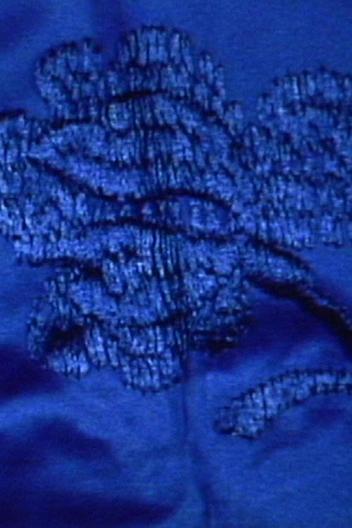 Tziporah (2008) poster