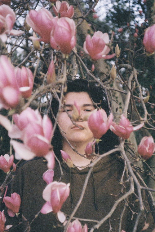 Birthday Boy (2024) poster