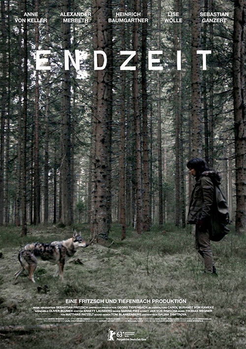 Endzeit (2013) poster