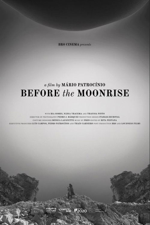 Before the Moonrise (2024) poster