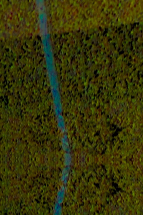 por que os bagui de segurar no onibus sao amarelo? poster