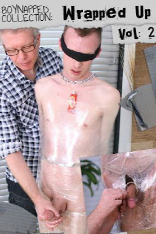 Boynapped Collection: Wrapped Up Vol. 2 (2012) poster