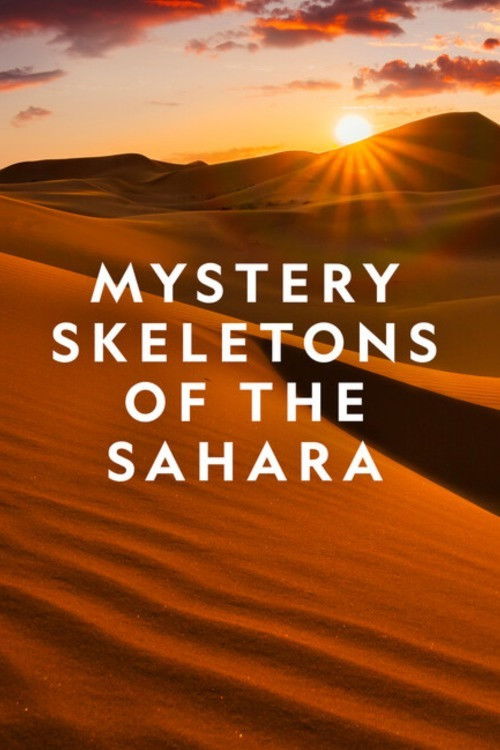Mystery Skeletons of the Sahara (2018) poster