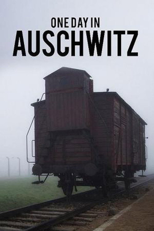 Ein Tag in Auschwitz (2020) poster