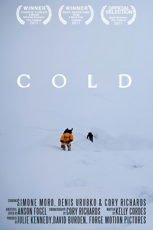 Cold (2011) poster