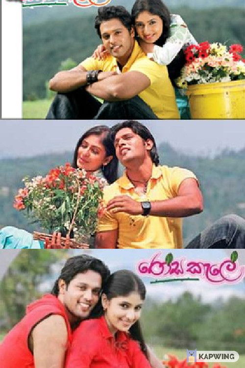 Rosa Kale (2008) poster