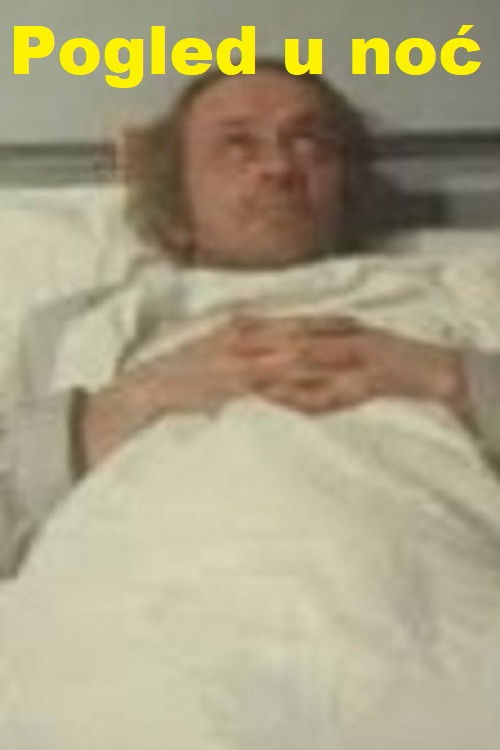 Looking Into the Night (1978) poster