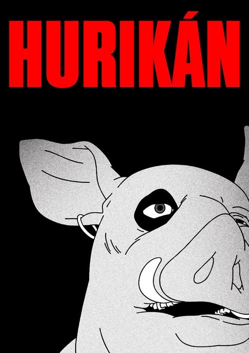Hurikán (2024) poster
